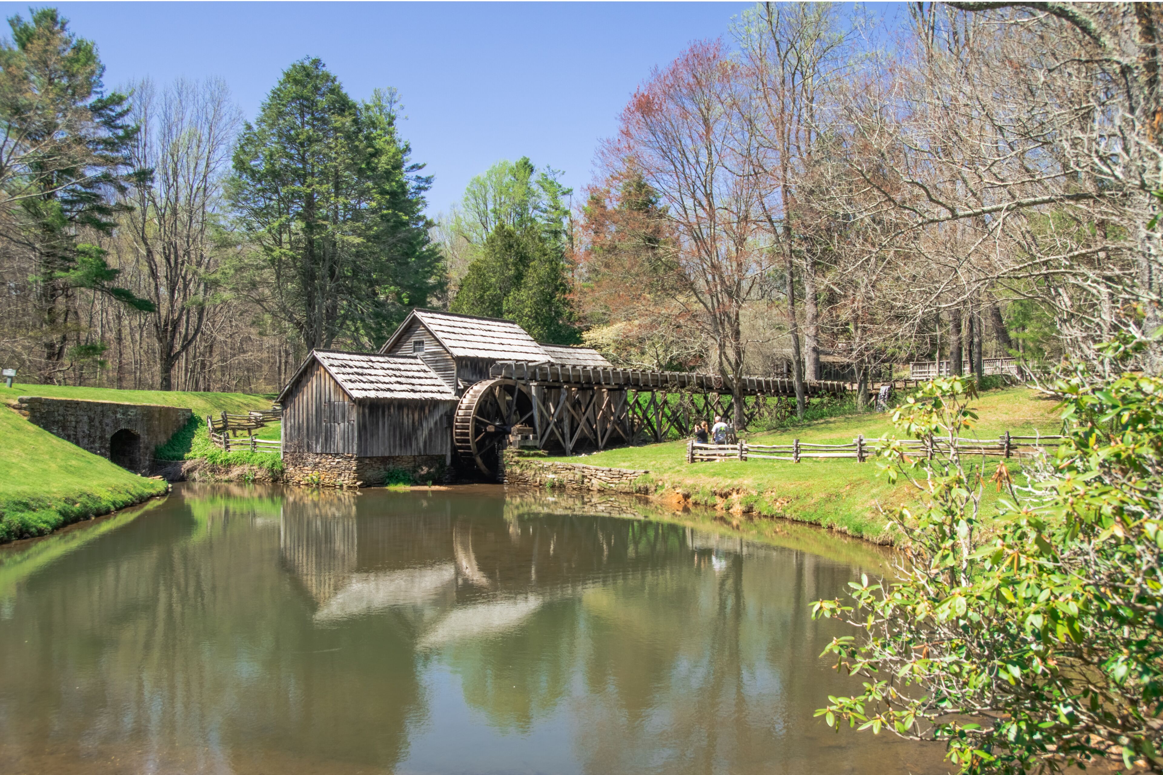 Spring blossoming at Mabry Mill in the Blue Ridge Mountains