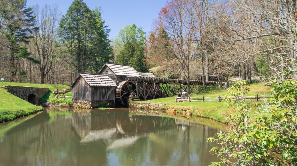 Spring blossoming at Mabry Mill in the Blue Ridge Mountains