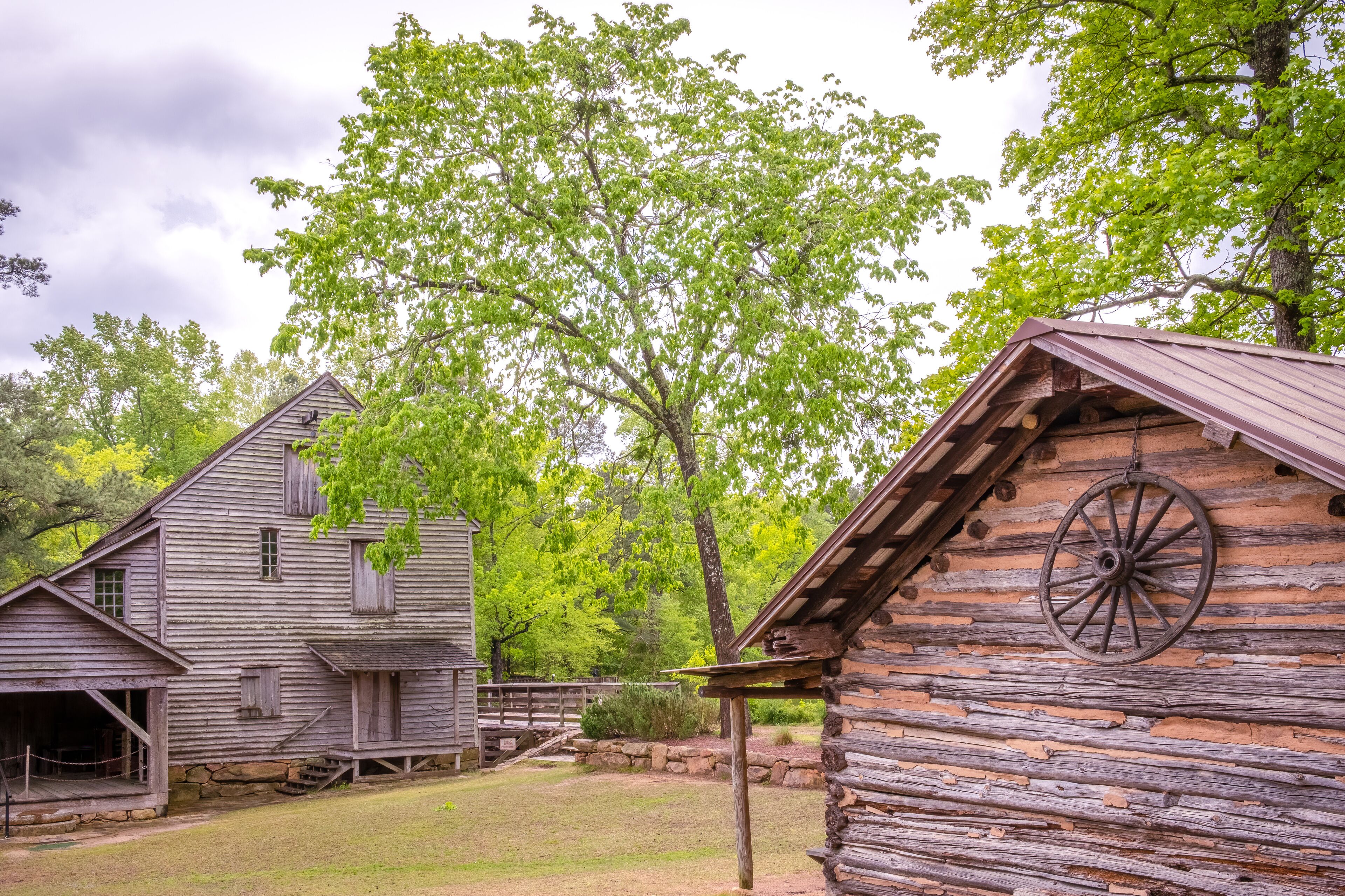 The old gristmill structure and an ash tree at Historic Yates Mill County Park in Raleigh, North Carolina.