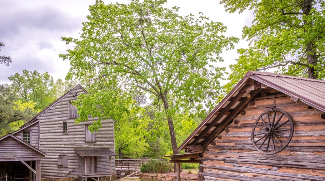 The old gristmill structure and an ash tree at Historic Yates Mill County Park in Raleigh, North Carolina.