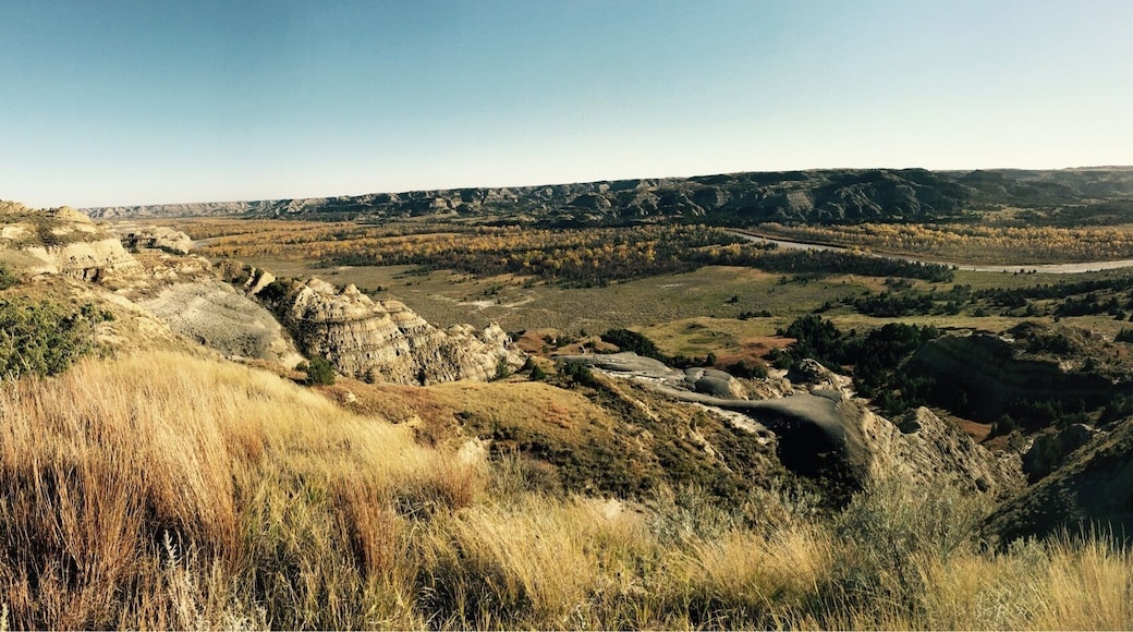 Theodore Roosevelt National Park in the fall