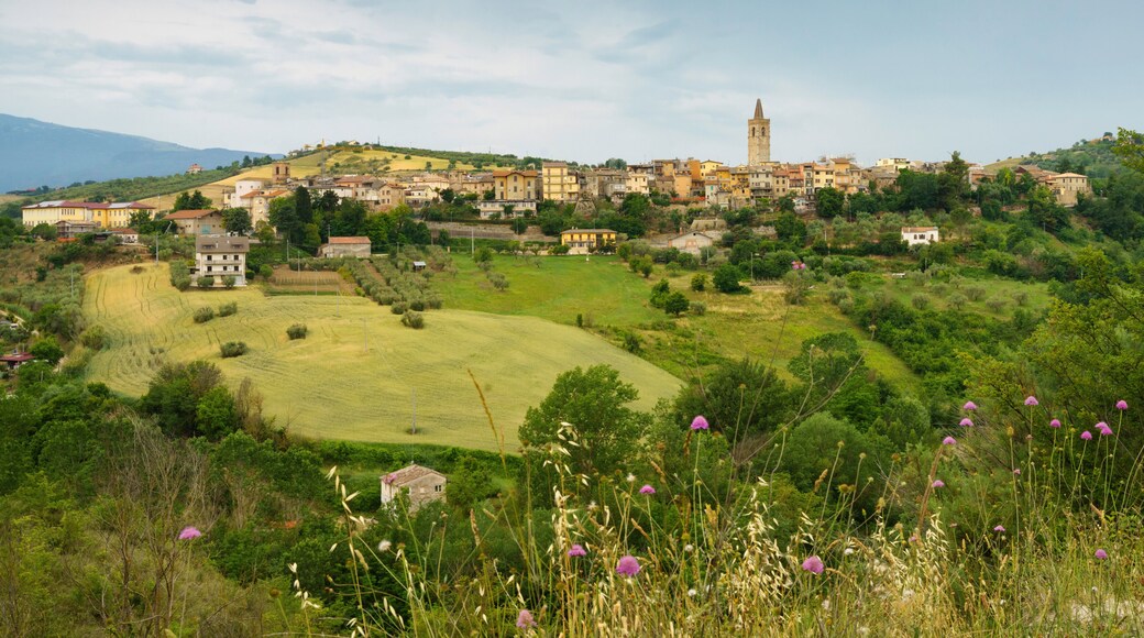 Country landscape near Appignano del Tronto, Marche, Italy
