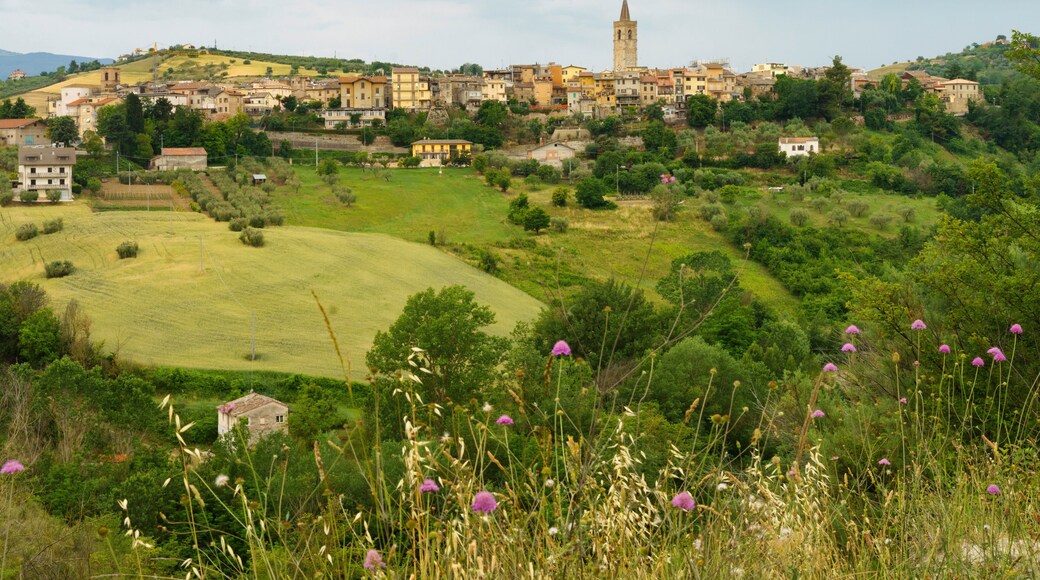 Country landscape near Appignano del Tronto, Marche, Italy