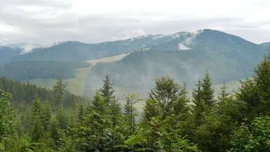 Ausblick über das Menzenschwander Albtal hinweg Richtung Spießhorn