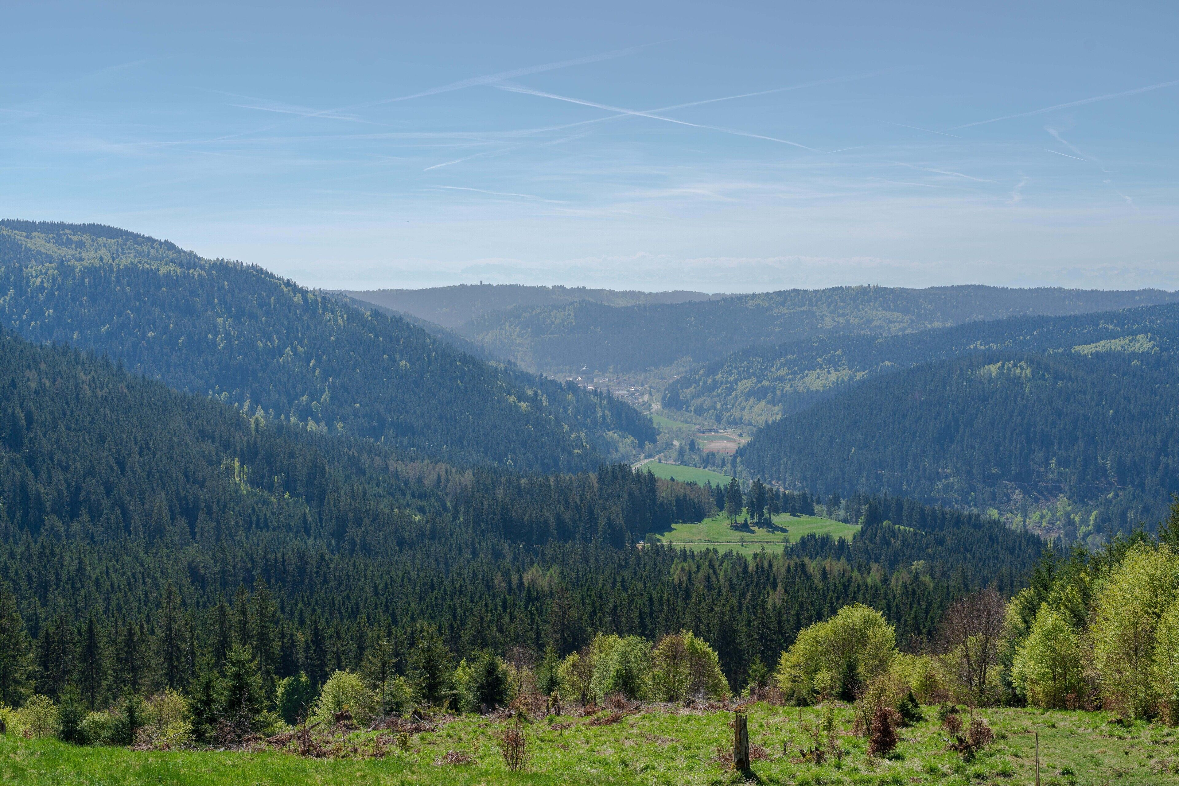 Blick von der Tierlachenhütte auf Sankt Blasien