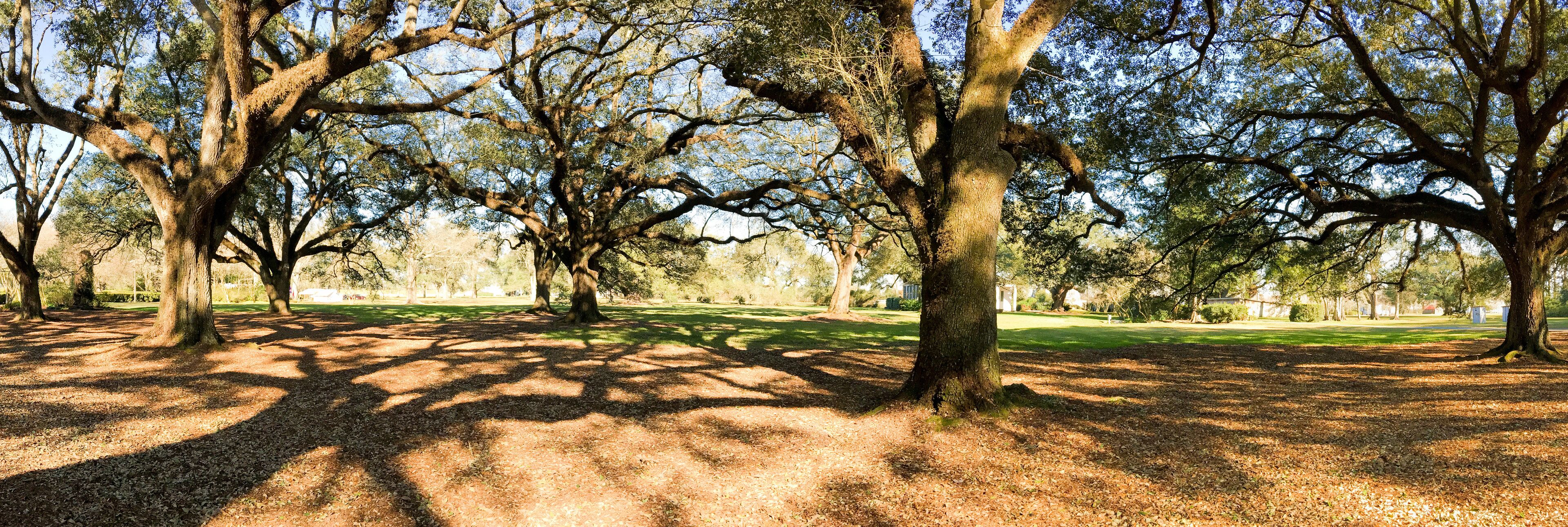 Panoramic view of Oak Alley Plantation, Louisiana