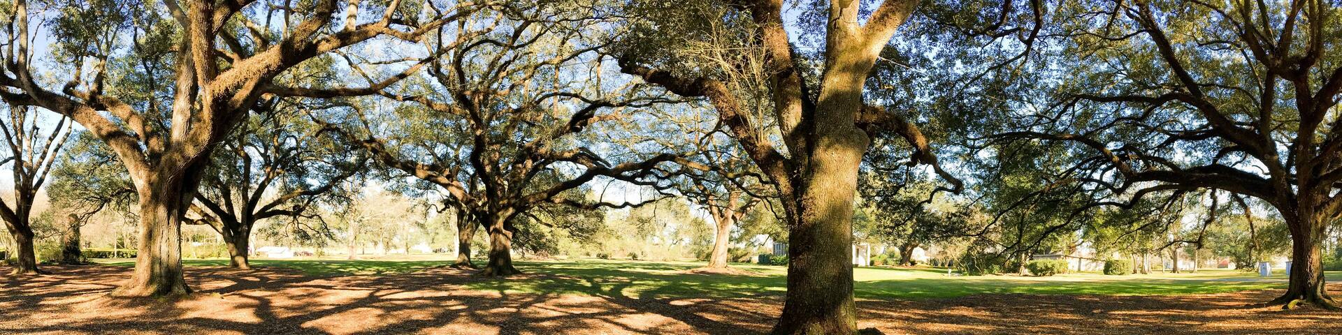 Panoramic view of Oak Alley Plantation, Louisiana