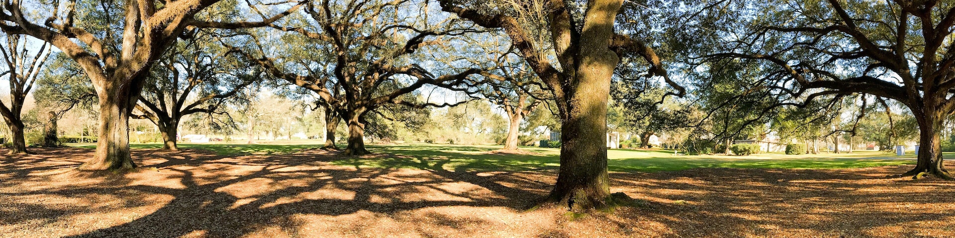 Panoramic view of Oak Alley Plantation, Louisiana