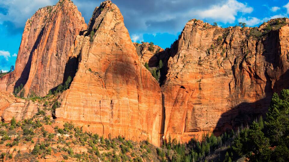 A canyon with red rock formations and green trees.