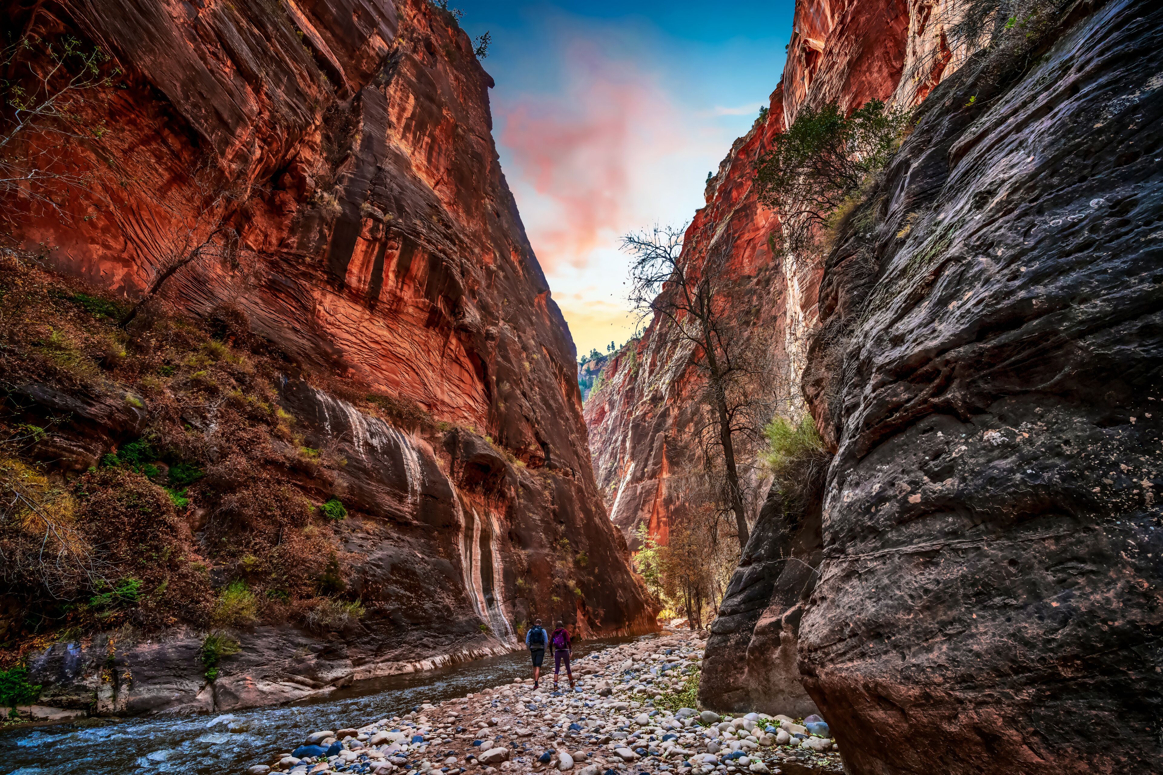 Red rock cliffs towering overhead at dusk on the scenic floor of Zion National Park near Springdale, Utah, USA.