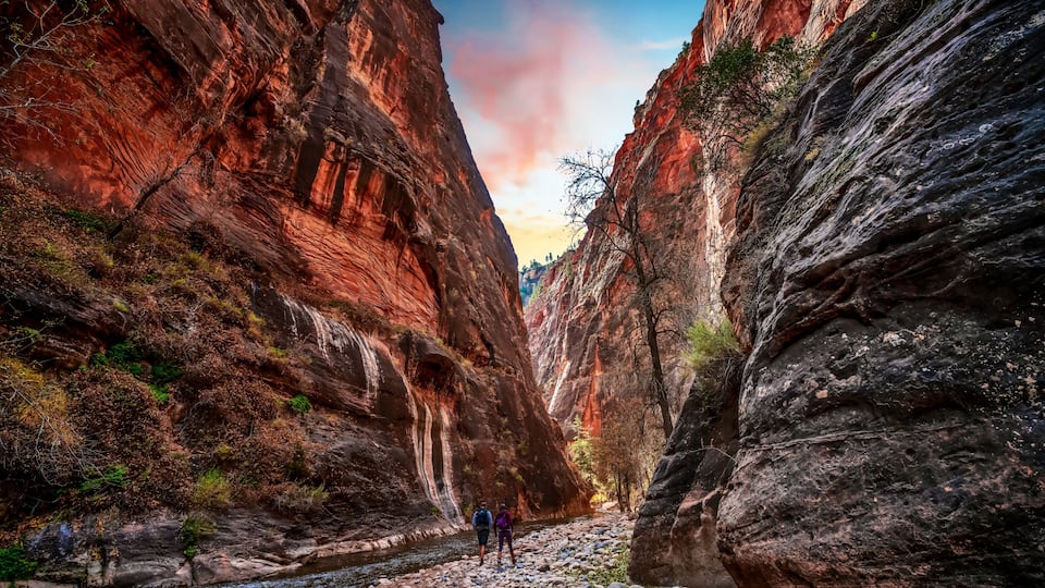Red rock cliffs towering overhead at dusk on the scenic floor of Zion National Park near Springdale, Utah, USA.
