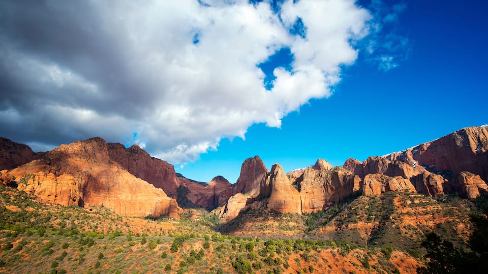 A desert landscape with red rock formations and sparse vegetation under a partly cloudy sky.