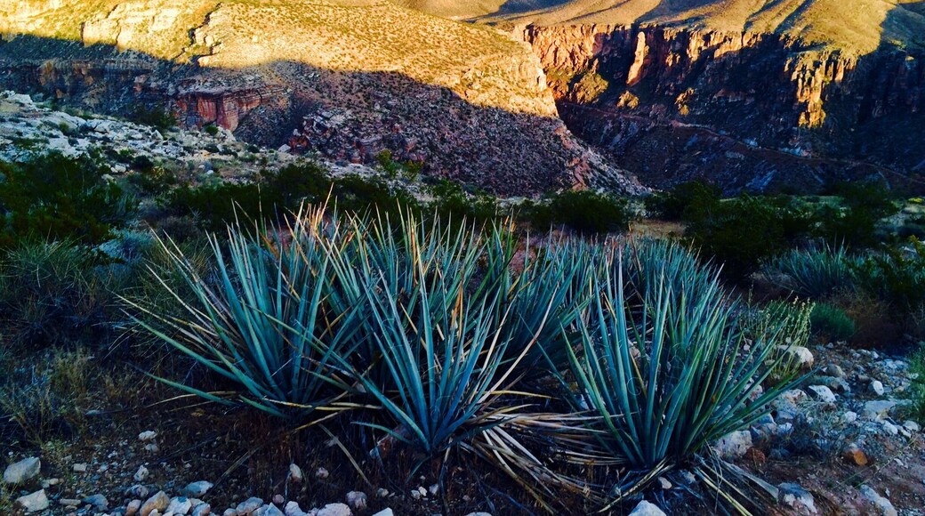 La Verkin Overlook just outside of Zion National Park