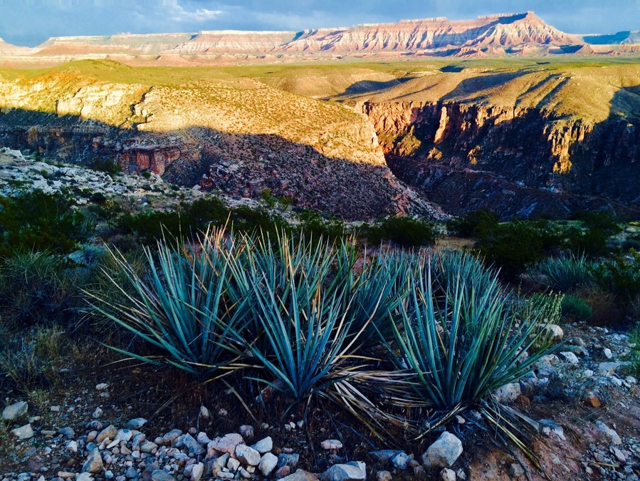 La Verkin Overlook just outside of Zion National Park