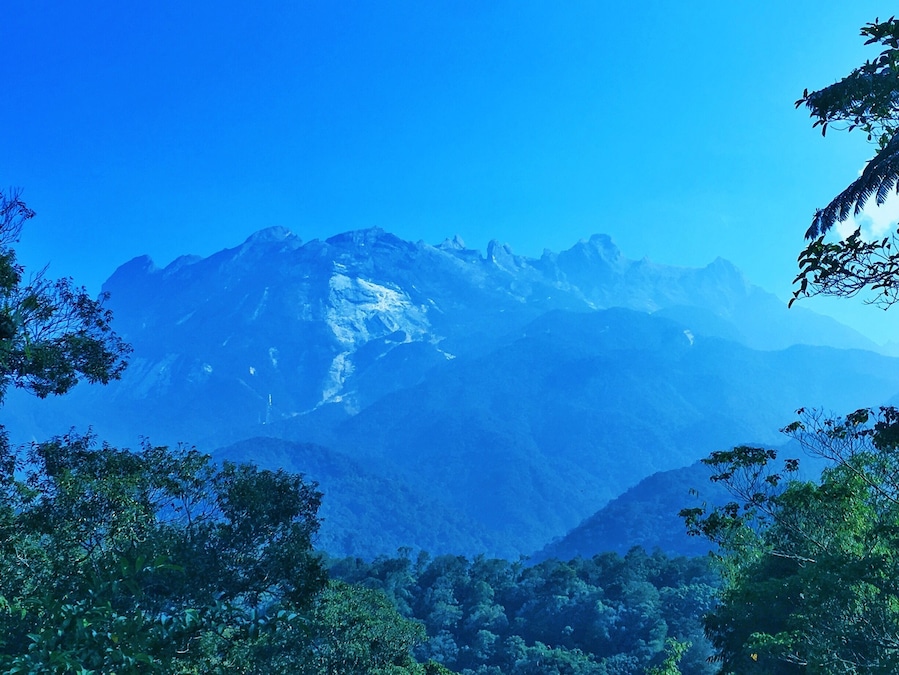 Made it to the top of the 20th in the world!