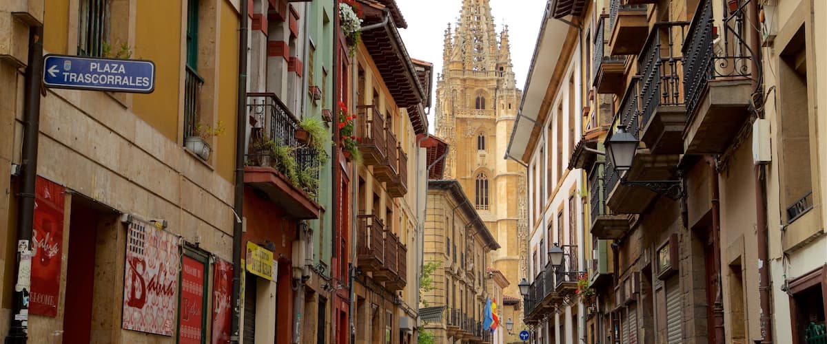 Centro histórico mostrando una ciudad y elementos del patrimonio