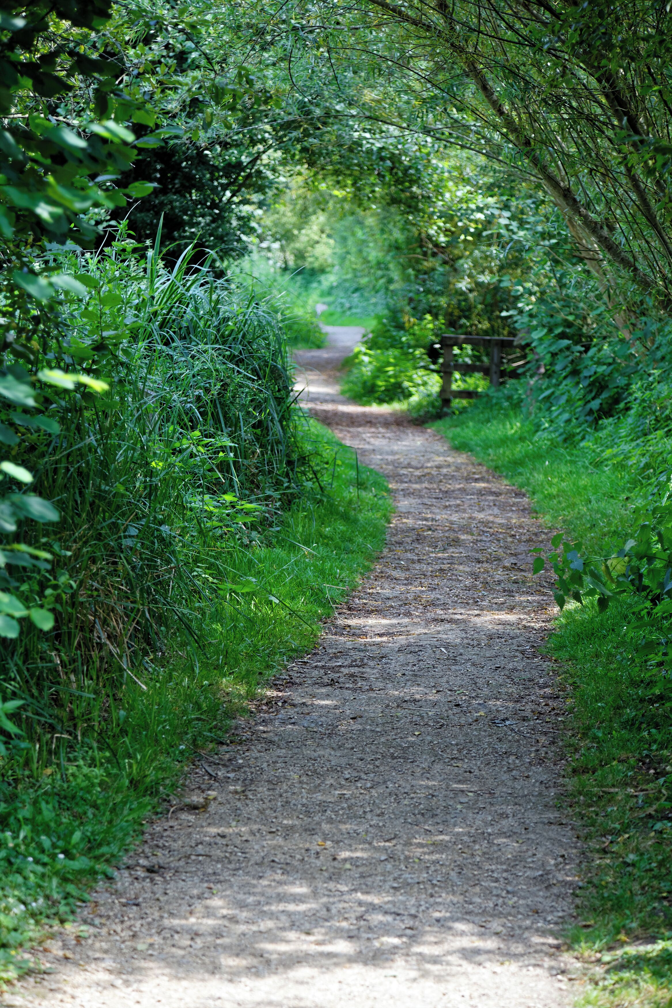 A footpath through Woods Mill, a woodland, meadow and wetland nature reserve, and headquarters for the Sussex Wildlife Trust in the civil parish of Henfield in West Sussex, England. The reserve includes a restored but not working water mill and other buildings as an environmental education centre and offices. Camera: Canon EOS 6D with Canon EF 24-105mm F4L IS USM lens. Software: RAW file lens-corrected and optimized with DxO OpticsPro 11 Elite and Viewpoint 3, and further optimized with Adobe Photoshop CS2.