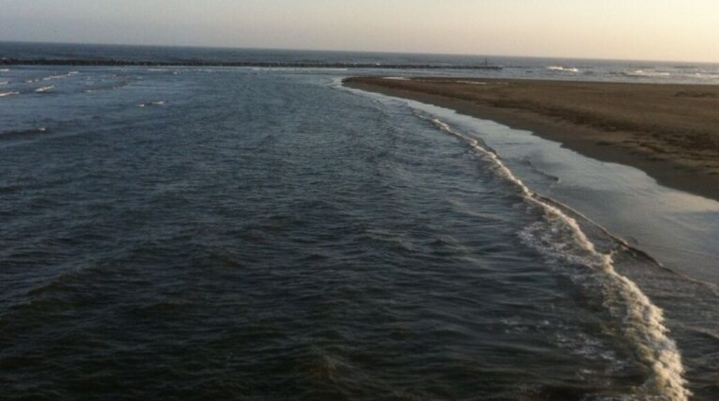 View of the beach from the 900' fishing pier at the park.