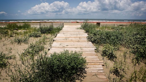 BPNTAM Gulf Coast of Louisiana in July 2010 along Grand Isle.. Image shot 07/2010. Exact date unknown.
