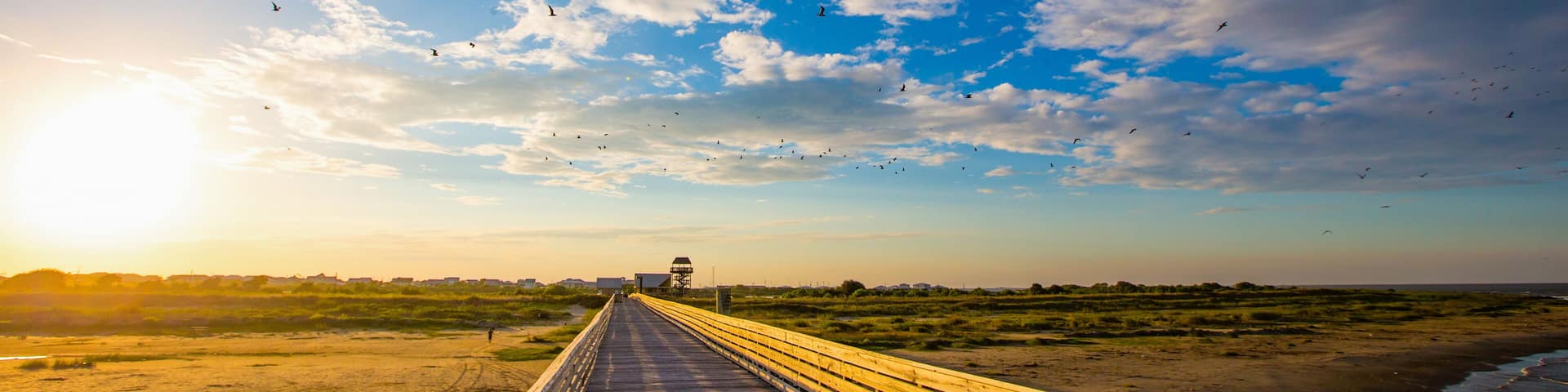 Grand Isle, Louisiana Beauty Images during sunset