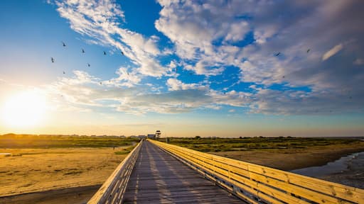 Grand Isle, Louisiana Beauty Images during sunset