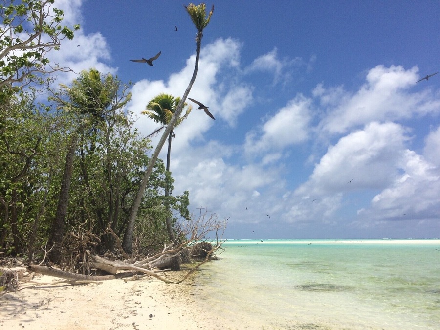 In 3 hours by boat from Tahiti you can find the wonderful Tetiaroa Atoll. Eating fish cooked on the boat just after diving with friendly sharks and millions of colorful fish along the coral reef of Tetiaroa was the highlight of our trip to Tahiti.
I strongly recommend doing to boat ride in a catamaran and watch out for dolphins swimming next to it!
#LifeAtExpedia