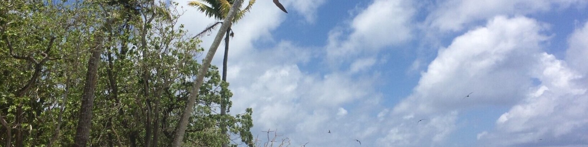 In 3 hours by boat from Tahiti you can find the wonderful Tetiaroa Atoll. Eating fish cooked on the boat just after diving with friendly sharks and millions of colorful fish along the coral reef of Tetiaroa was the highlight of our trip to Tahiti.
I strongly recommend doing to boat ride in a catamaran and watch out for dolphins swimming next to it!
#LifeAtExpedia