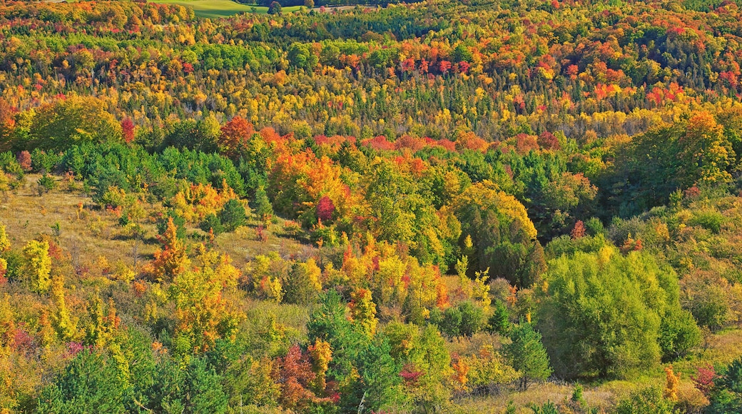 A Boyne Valley Autumn