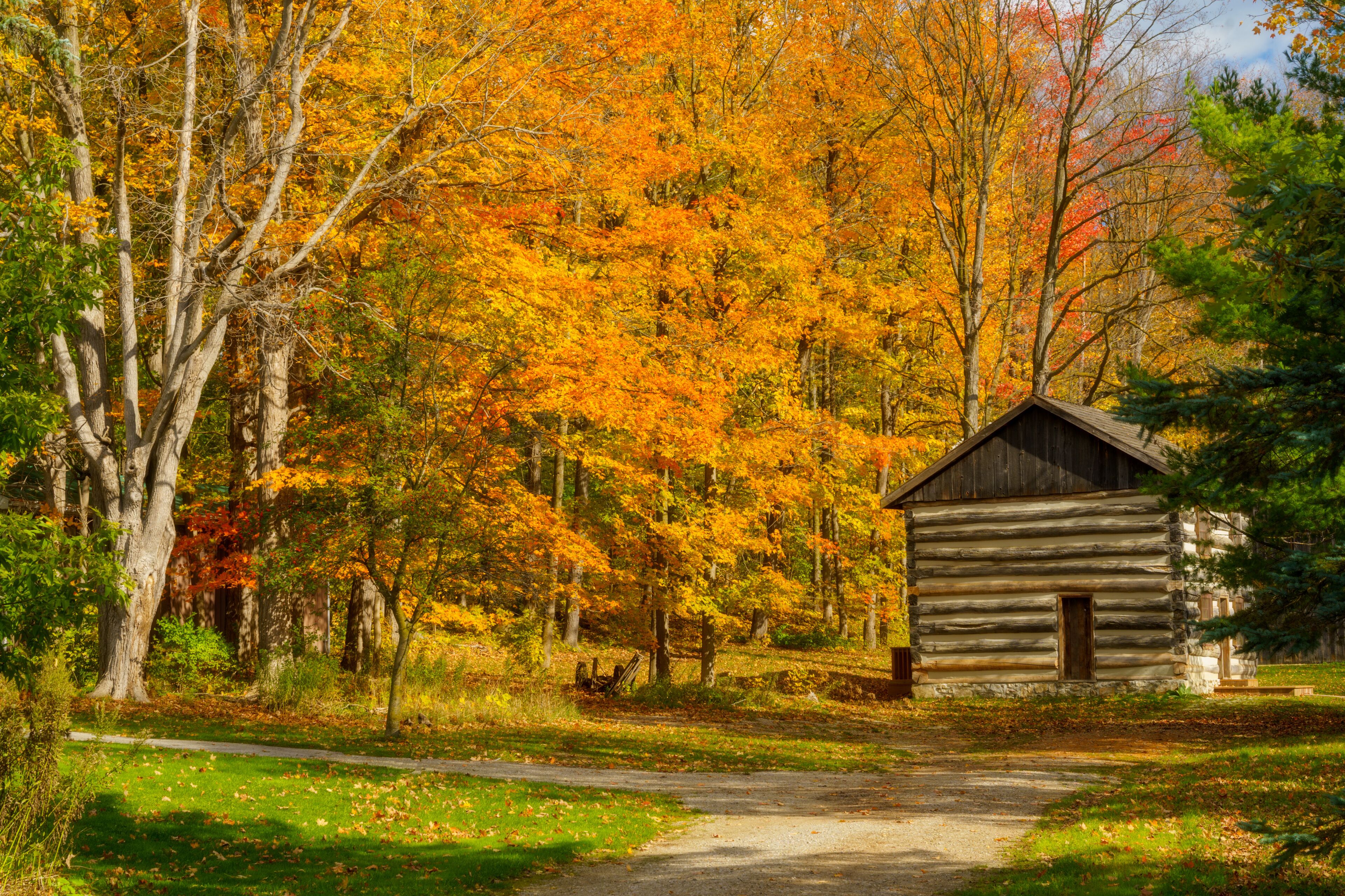 Beautiful autumn view of the log cabin in the woods in Alliston Ontario