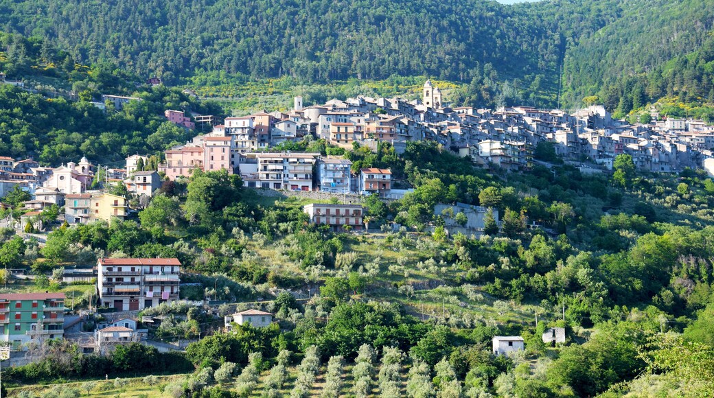 Medieval town and olive trees