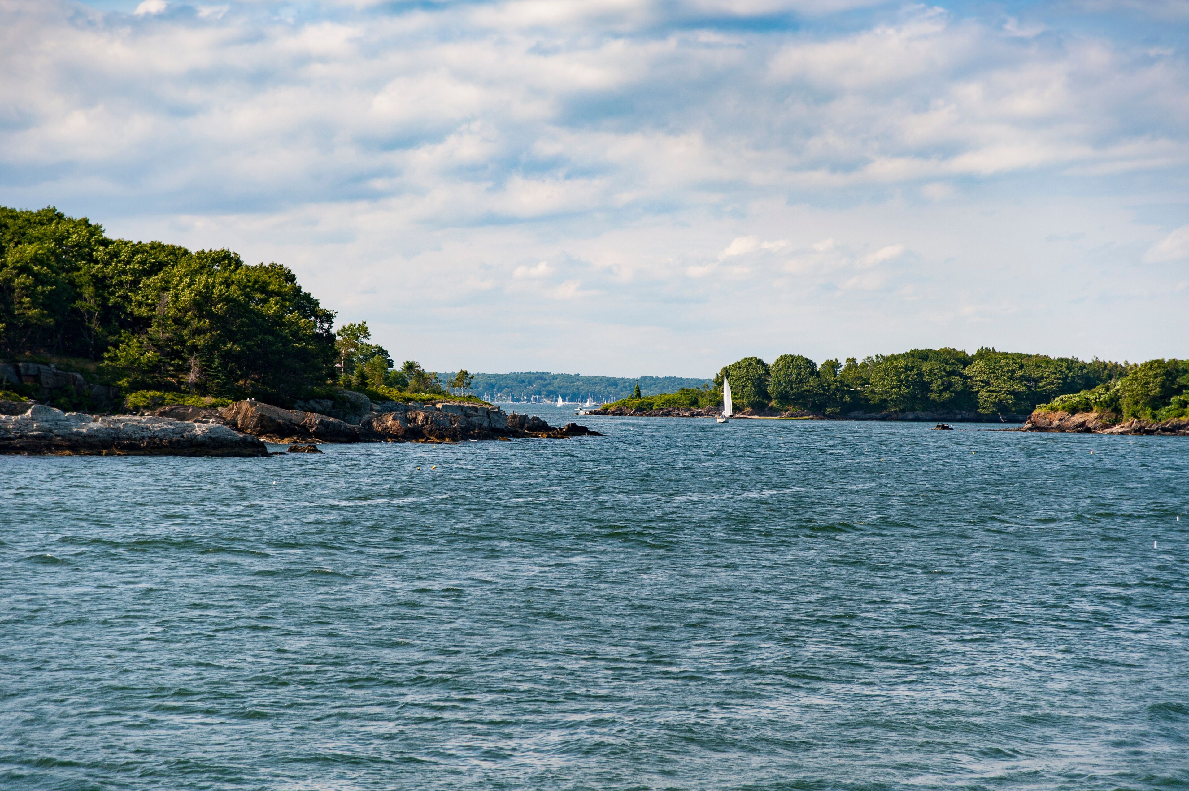 Summer on Casco Bay