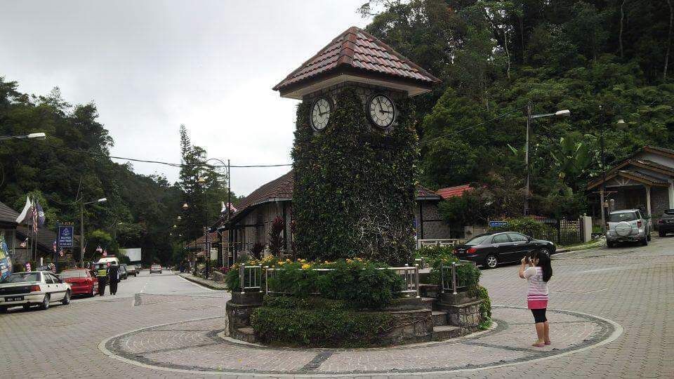 A clock tower with ivy, surrounded by a circular garden, on a paved street with cars and pedestrians.
