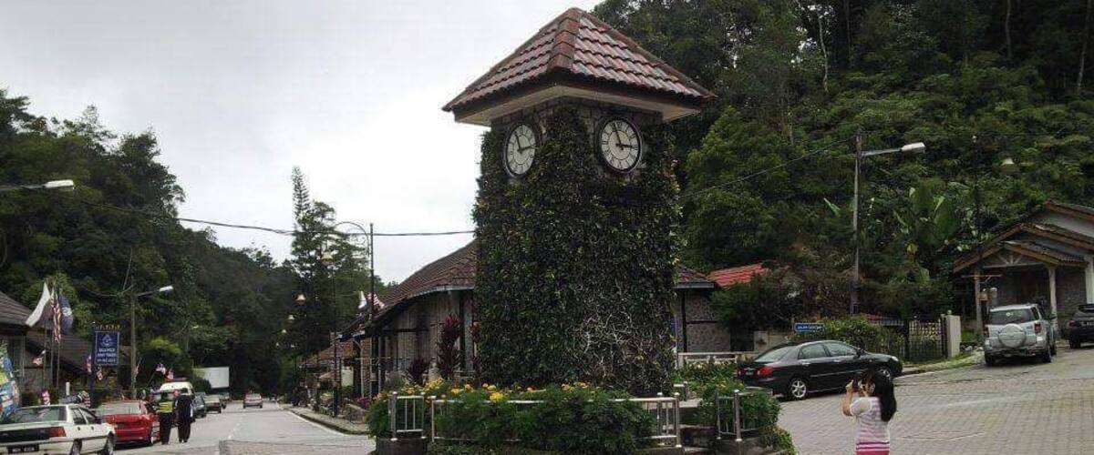 A clock tower with ivy, surrounded by a circular garden, on a paved street with cars and pedestrians.