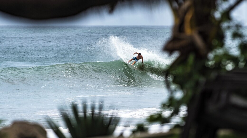 Waves and offshore winds. Perfect. #BeachBound
