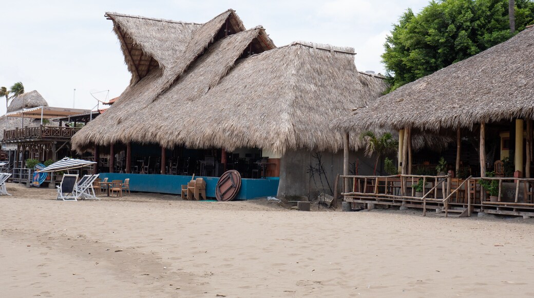 Tola