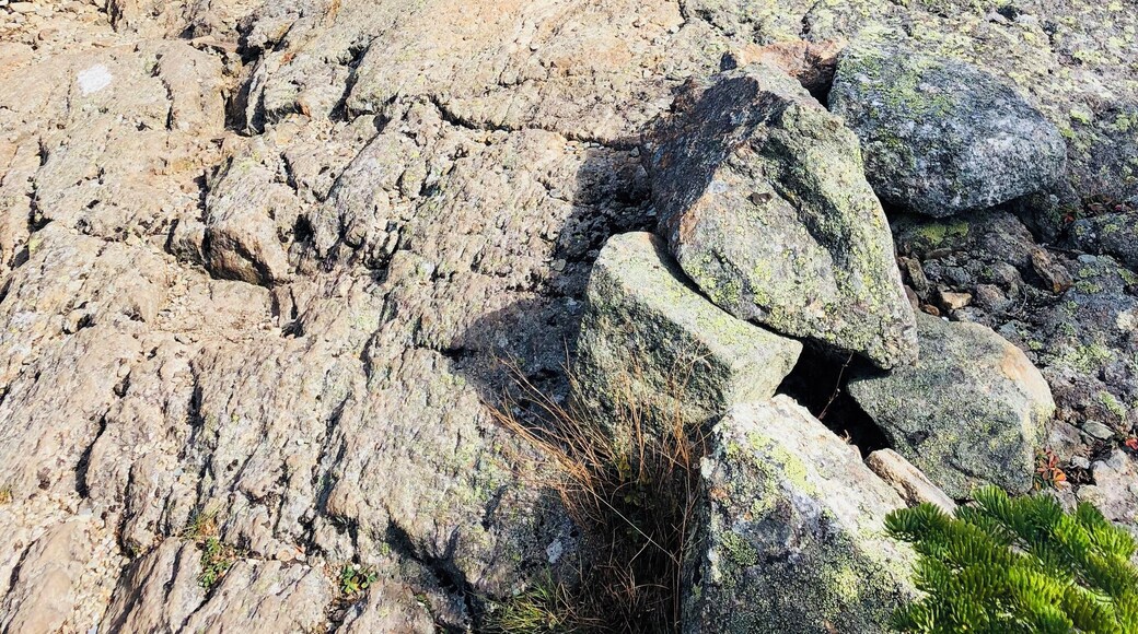 My hiking girl!!! Miss Rylee loves carrying her pack and telling Momma to hurry up! The Bigalows are a very reward and fun hike!! #adventure