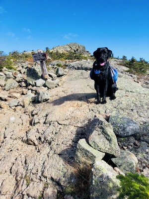 My hiking girl!!! Miss Rylee loves carrying her pack and telling Momma to hurry up! The Bigalows are a very reward and fun hike!! #adventure