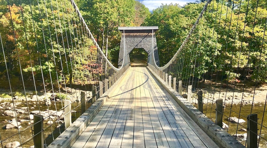 The Wire Bridge in New Portland, Maine. 06Oct18