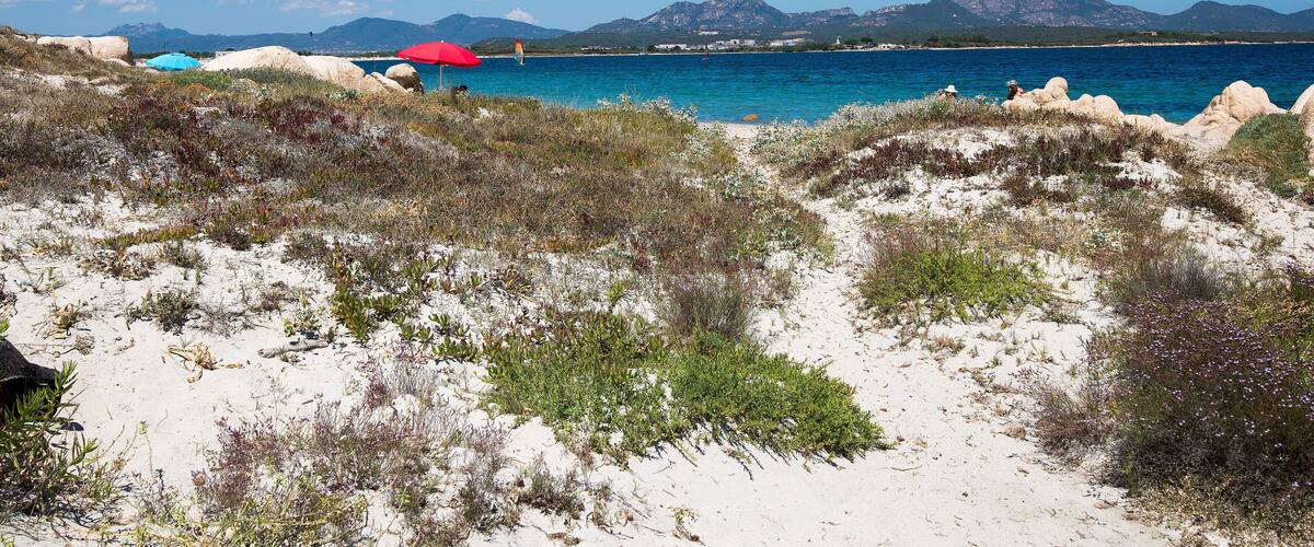 A coastal landscape with white sand dunes, sparse vegetation, and a clear blue sea.