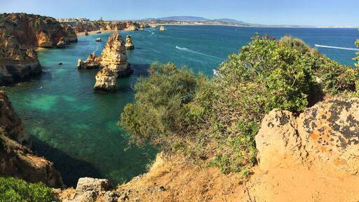 ๋ชฌํ
๋ค๊ทธ๋ก