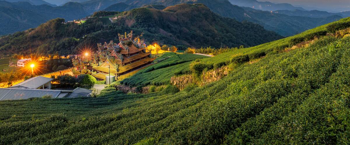 Shibao WufengTemple and Green Tea Plantation at Sunset in Zhuqi Township, Chiayi County, Taiwan