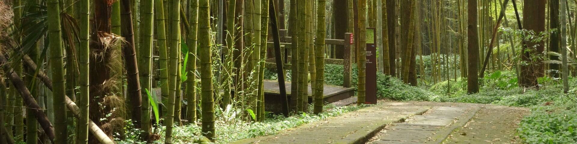 When in Taiwan, take a train ride to small village of Fenqihu. It doesn't get any more serene than walking the trails amidst the bamboo forest and breathing the fresh mountain air. After a nice hike, try their famous "lunch box" for lunch.
#LifeAtExpedia