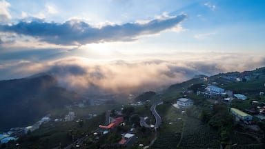 傍晚的阿里山區