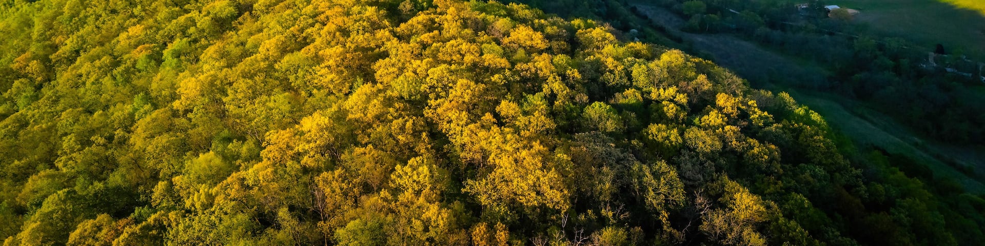 Aerial view from Apple Blossom Overlook Park showing green rolling hills and the Mississippi River