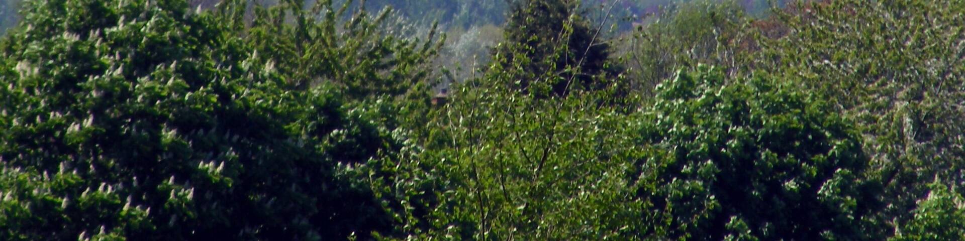 Milton Keynes, Xscape