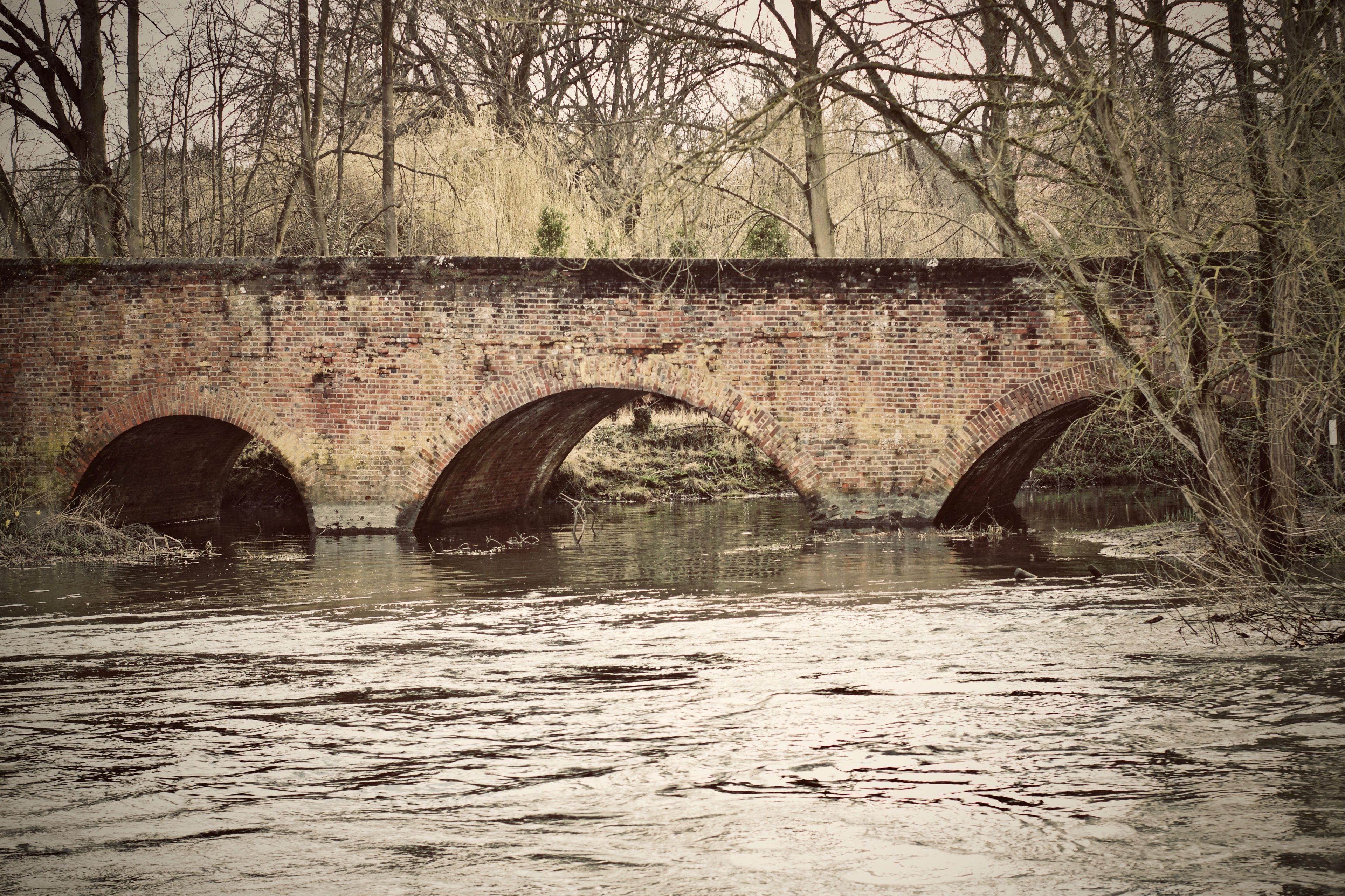 Un puente de ladrillo en ruinas sobre un río, cubierto de vegetación exuberante.