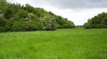 Directly above the M25 Epping Tunnel This area of scrub woodland has thousands of lorries and cars passing underneath it every hour