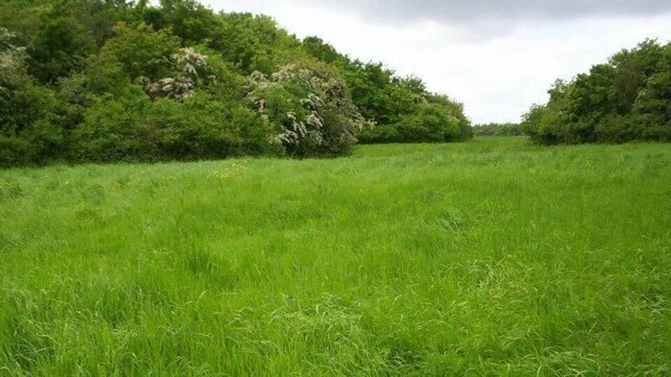 Directly above the M25 Epping Tunnel This area of scrub woodland has thousands of lorries and cars passing underneath it every hour