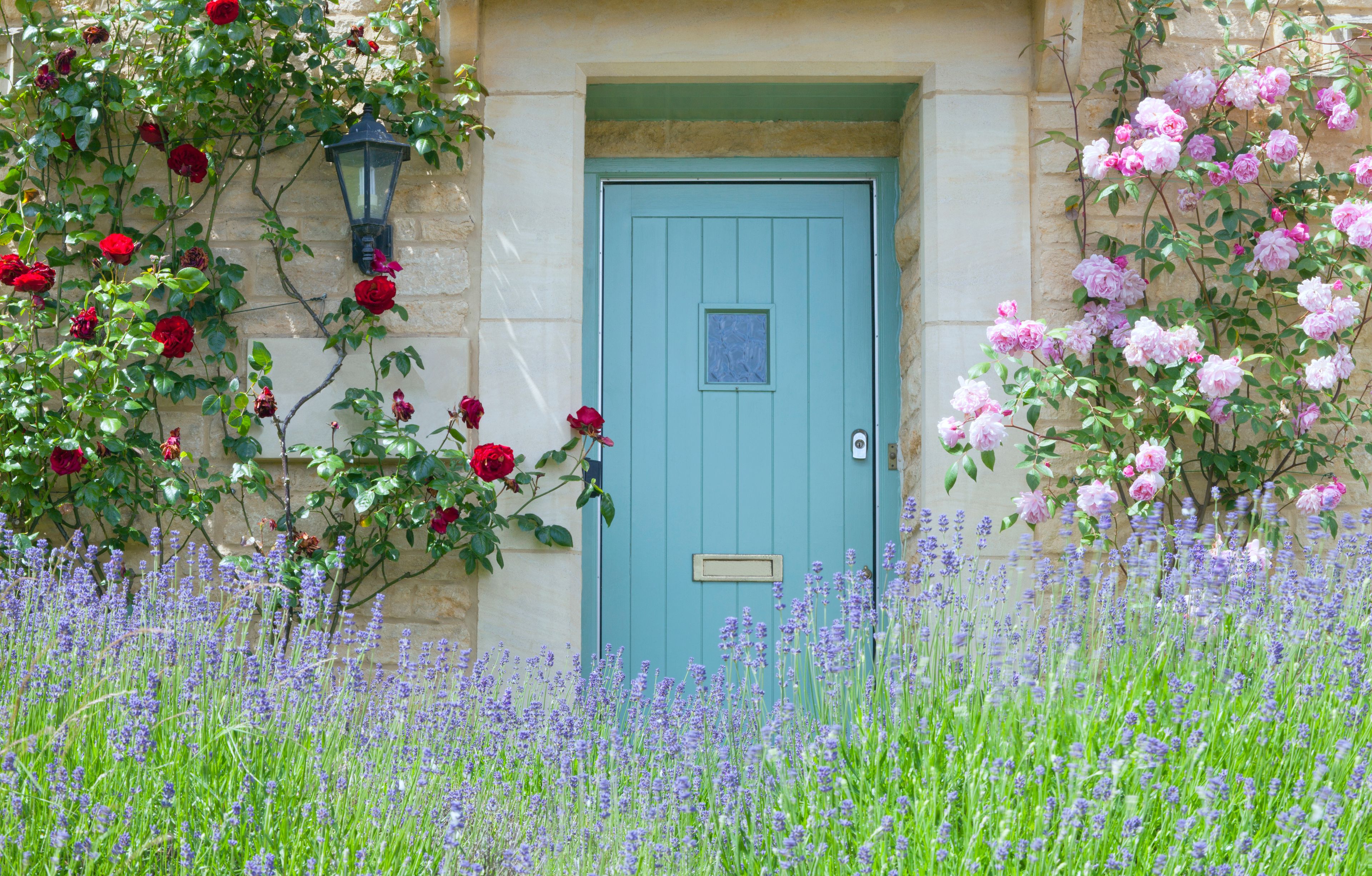 Una puerta azul con un ventanal blanco, rodeada de abundante vegetación y plantas con flores.