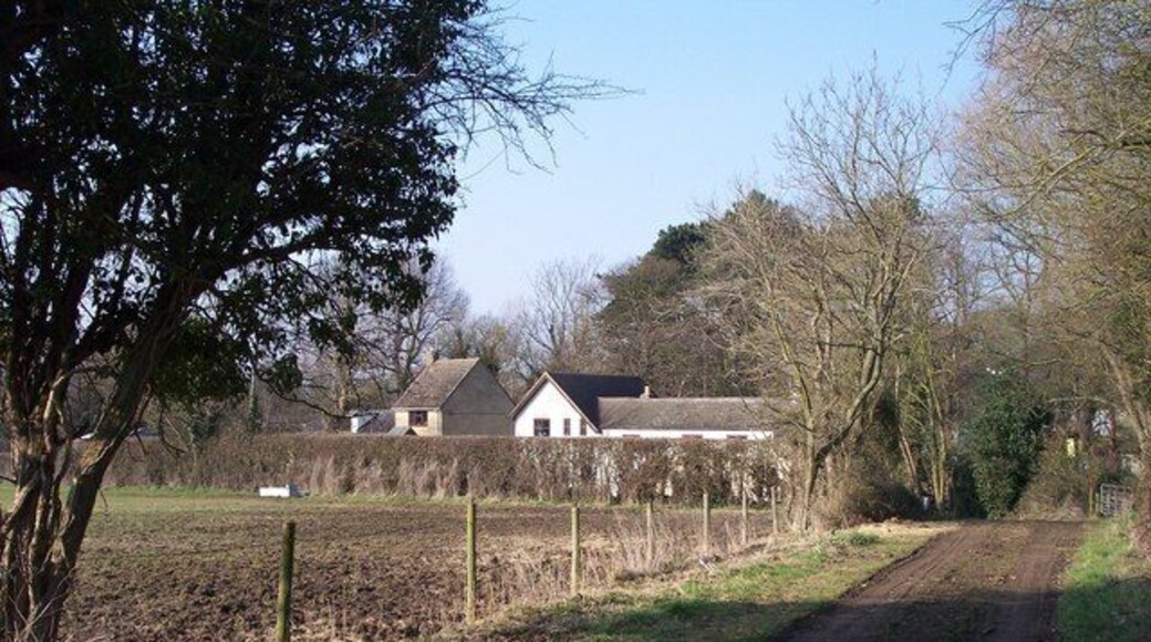 Old Road from Manor Farm to Bondend. Looking north along the lane.